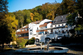 Отель Hotel U Kozicky, Теплице